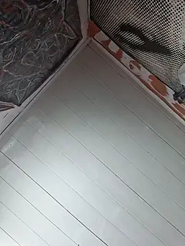 Toycockhot online show from 03.06.25