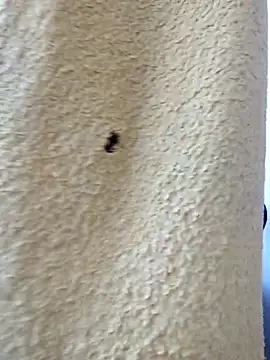 Snapshot of david_geam chatting on 03.20.26 david geam online show from 03.20.26