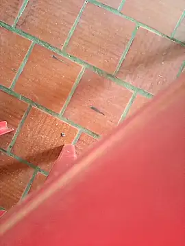 Snapshot of Brenda_Berck_ chatting on 09.12.25 Brenda Berck online show from 09.12.25