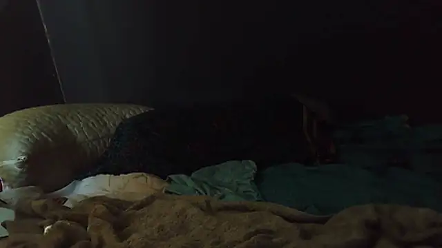 k-dong online show from 02.01.26