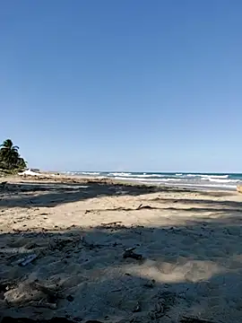 Snapshot of Luna-Natural chatting on 11.17.25 Luna-Natural online show from 11.17.25