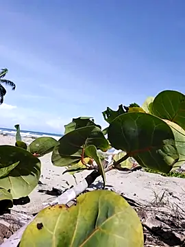 Snapshot of Luna-Natural chatting on 12.14.25 Luna-Natural online show from 12.14.25