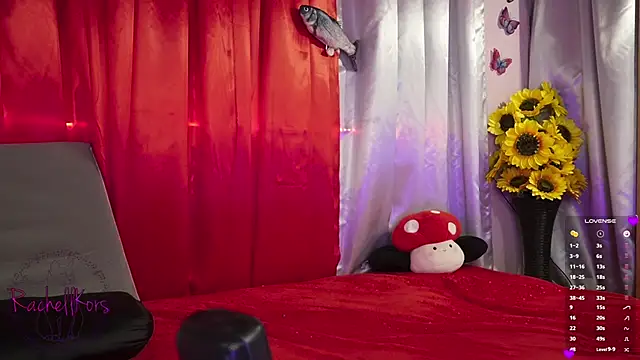 Rachellkors online show from 02.17.25