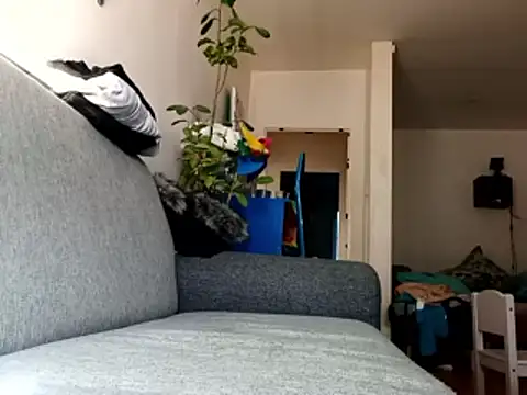 Snapshot of ganjaman871231 chatting on 02.28.26 ganjaman871231 online show from 02.28.26