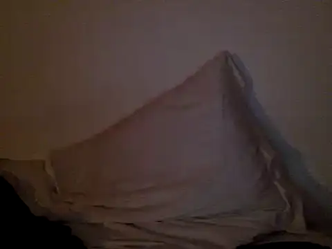 Snapshot of FelipeRiver chatting on 01.22.25 FelipeRiver online show from 01.22.25