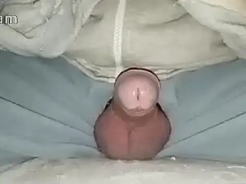 Snapshot of Bigdick666cm chatting on 01.31.25 Bigdick666cm online show from 01.31.25