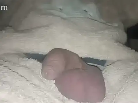 Snapshot of Bigdick666cm chatting on 02.22.25 Bigdick666cm online show from 02.22.25