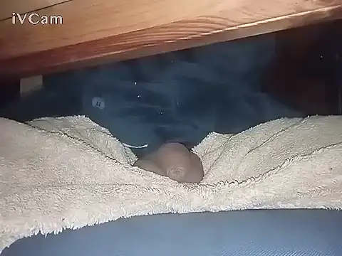 Snapshot of Bigdick666cm chatting on 03.06.25 Bigdick666cm online show from 03.06.25