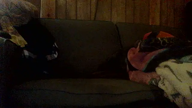 Snapshot of Ryoko_Momoko chatting on 11.01.25 Ryoko Momoko online show from 11.01.25