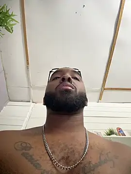 livepro online show from 04.01.26