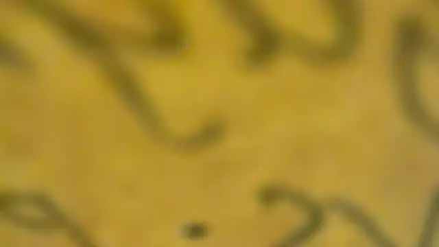 fmodel online show from 01.03.25