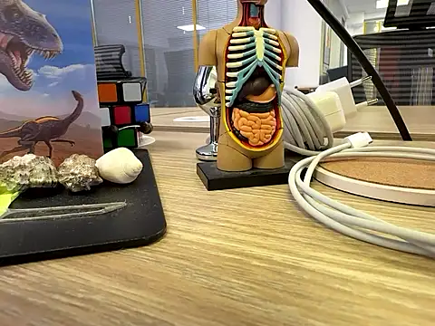 fmodel online show from 09.24.25