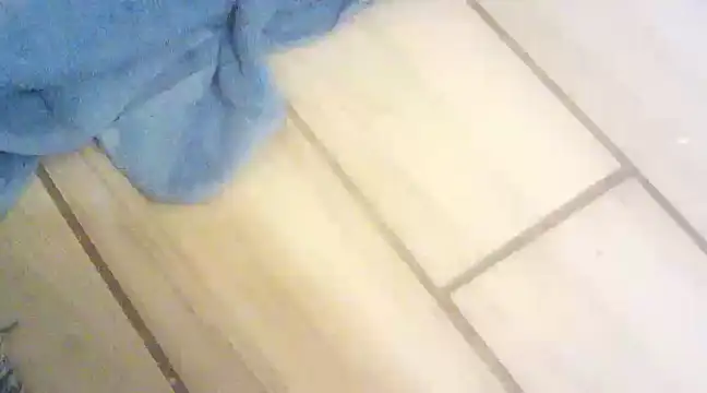 Snapshot of blasphemous chatting on 01.28.25 blasphemous online show from 01.28.25