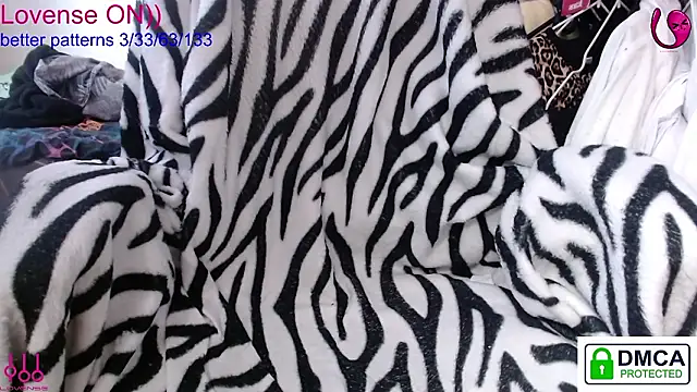 sweet cute cat online show from 03.27.26