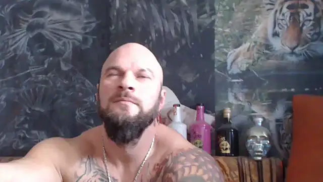 viking 30 online show from 11.18.25