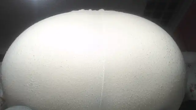 Snapshot of prettyangelsquirt chatting on 02.21.26 prettyangelsquirt online show from 02.21.26
