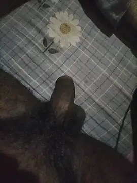 naxusxh online show from 11.07.25