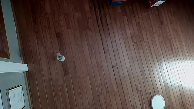 riverside197575 online show from 10.23.25