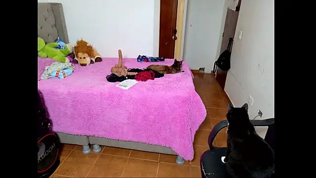 emily honter online show from 12.14.25