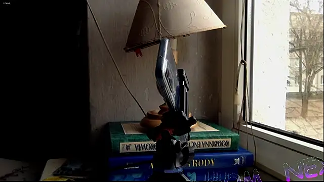 Snapshot of FireFox_Feel chatting on 12.06.24 FireFox Feel online show from 12.06.24