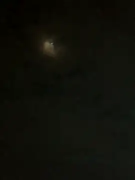 jesusthedonkey online show from 11.30.25