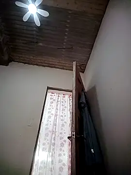 TropicalFlower online show from 04.11.26