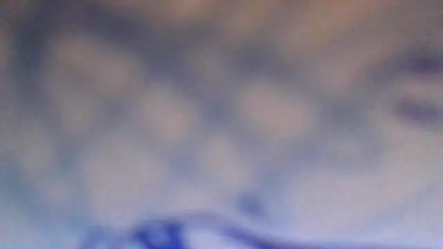 Snapshot of AnnyPat chatting on 11.16.25 AnnyPat online show from 11.16.25