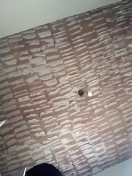 Snapshot of catdool chatting on 02.20.25 catdool online show from 02.20.25