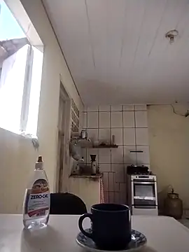 Snapshot of catdool chatting on 11.21.25 catdool online show from 11.21.25