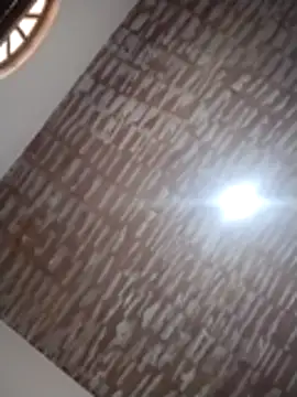 Snapshot of catdool chatting on 12.14.25 catdool online show from 12.14.25