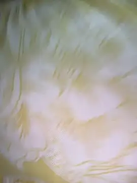 Dhiyapink online show from 12.02.24