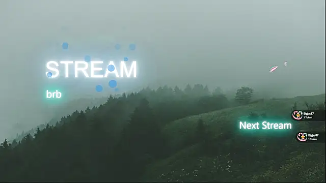 Snapshot of FluffyHat chatting on 03.08.25 FluffyHat online show from 03.08.25