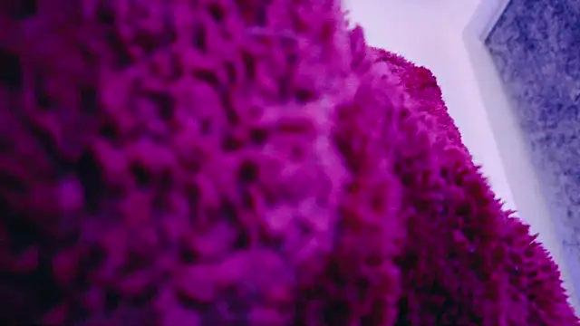 Snapshot of FemDom_RubyKnightXXO chatting on 03.18.25 FemDom RubyKnightXXO online show from 03.18.25