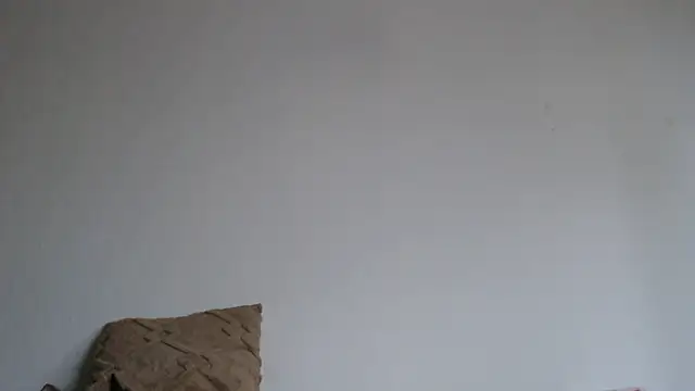 Katze22 online show from 12.13.24