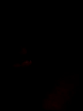 Snapshot of websterribeiro chatting on 03.11.26 websterribeiro online show from 03.11.26