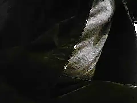 papiculo86 online show from 01.29.25