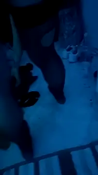 Misspadrona88 online show from 12.13.25