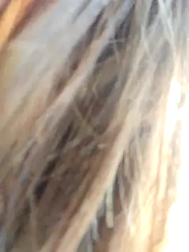 TassiTyne online show from 11.04.25