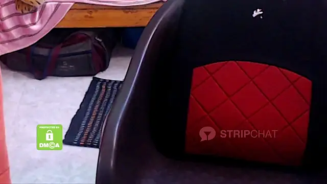 Snapshot of Novapol chatting on 01.05.25 Novapol online show from 01.05.25