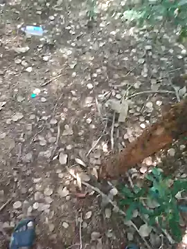 rameshmry1 online show from 02.21.26