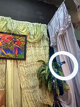 uma patna000 online show from 02.04.25