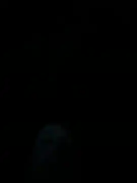 dropmoney online show from 12.01.25