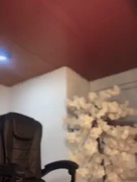 Ambar pe  online show from 11.10.25