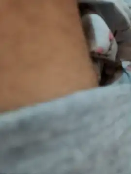 Snapshot of riggijaviersalas chatting on 11.14.25 riggijaviersalas online show from 11.14.25