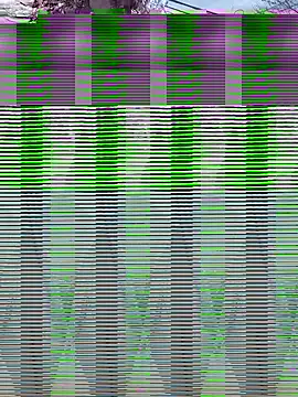 Snapshot of Alicbranca chatting on 09.17.25 Alicbranca online show from 09.17.25