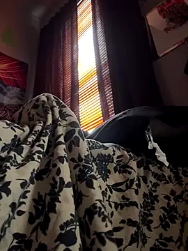 spideyzaddy online show from 11.26.25