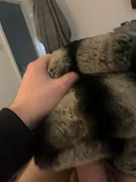 Furdale online show from 02.12.25