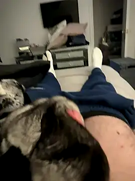 Furdale online show from 12.05.25