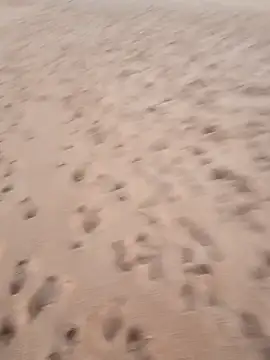 rodovlaz online show from 09.17.25