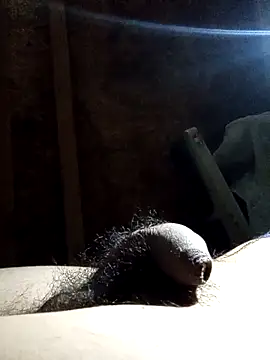 rodovlaz online show from 11.12.25